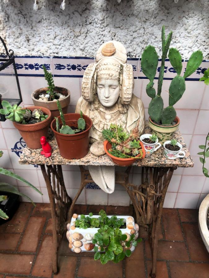Séjour chez l'habitant Alhambra En El Sacromonte Grenade